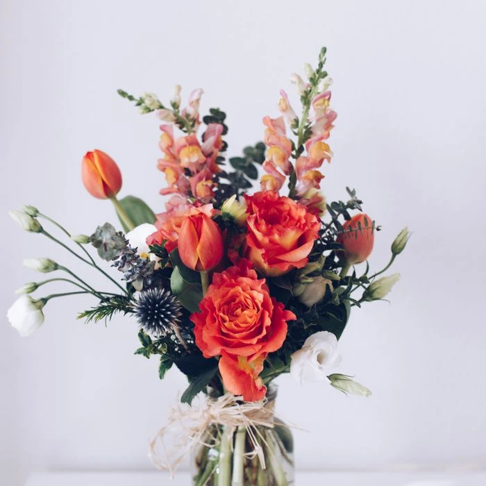 Ms. Clemmie Goyette DVM